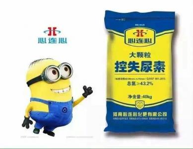 大顆?？厥蛩? border=